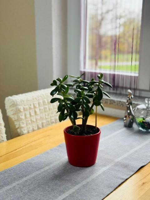 Apartments Paradise Licko Petrovo Selo المظهر الخارجي الصورة