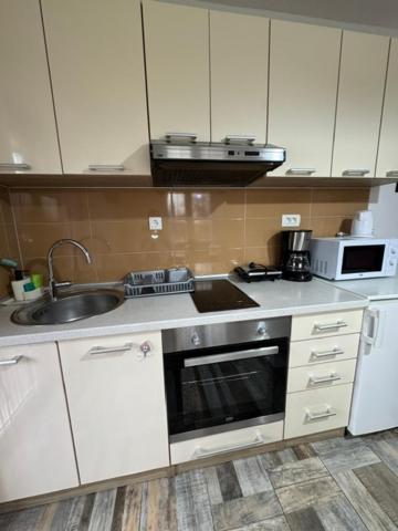 Apartments Paradise Licko Petrovo Selo المظهر الخارجي الصورة