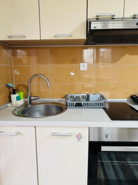 Apartments Paradise Licko Petrovo Selo المظهر الخارجي الصورة